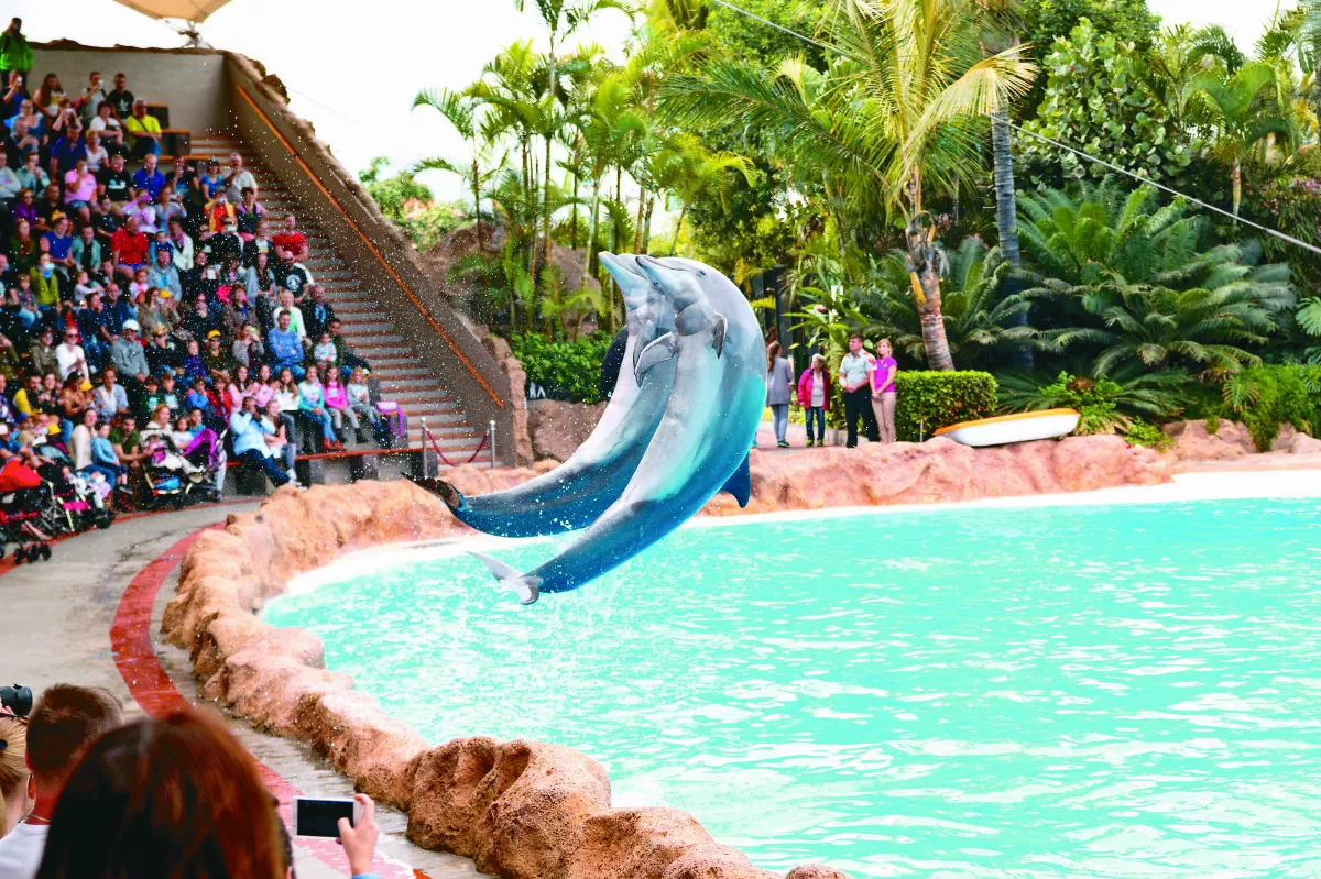 鯨豚秀將落幕 台灣動保新頁