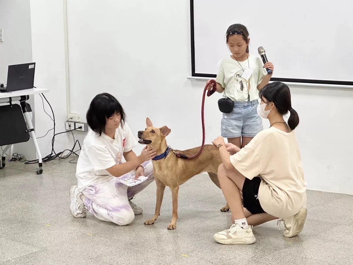 動物之家辦療癒犬夏令營  助孩子實踐尊重生命理念