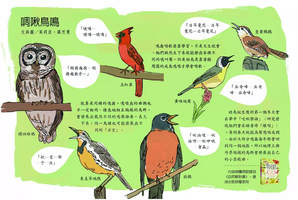 啁啾鳥鳴