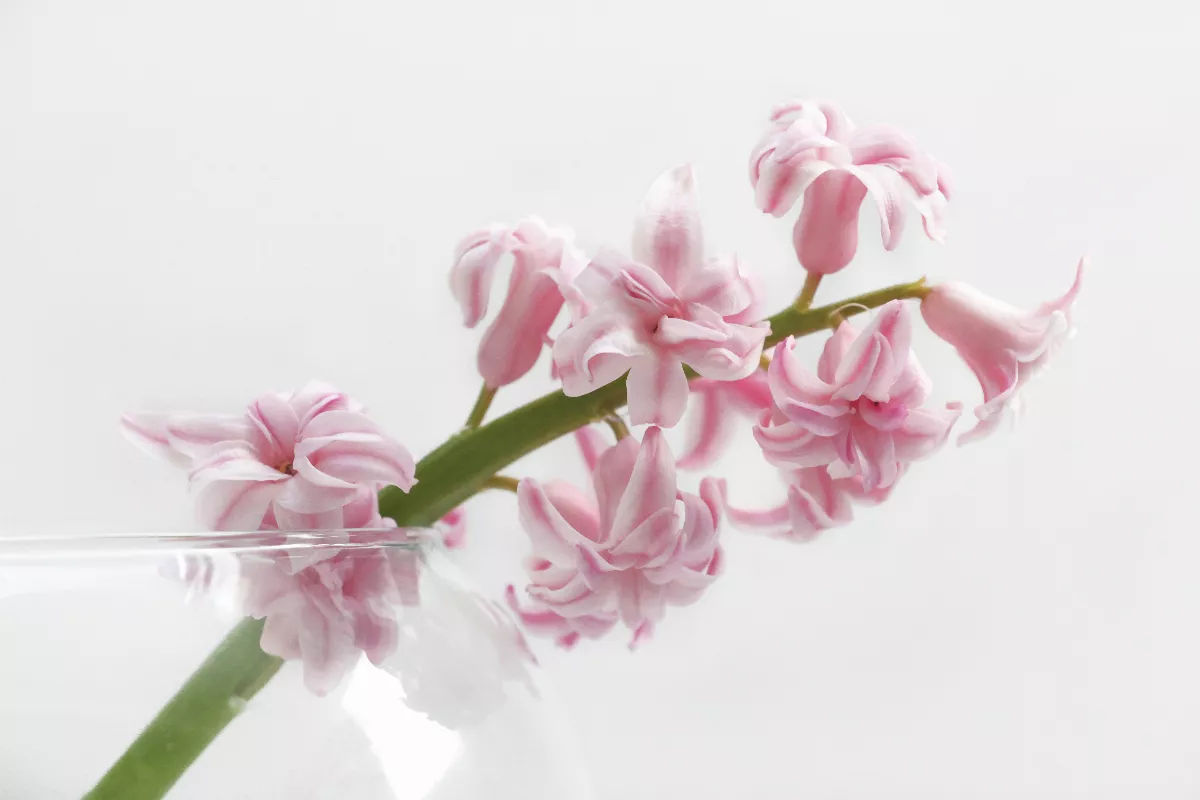 星雲說偈：今世因來世果