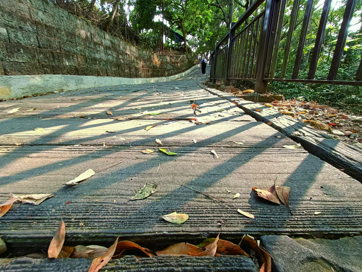 【生活 快門】不是一個人