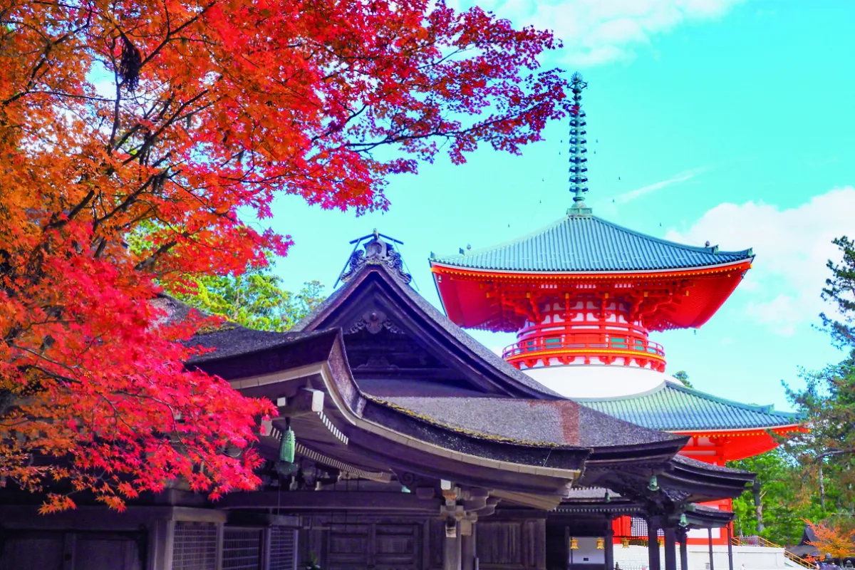 高野山 比叡山 佛教聖地安靜旅行