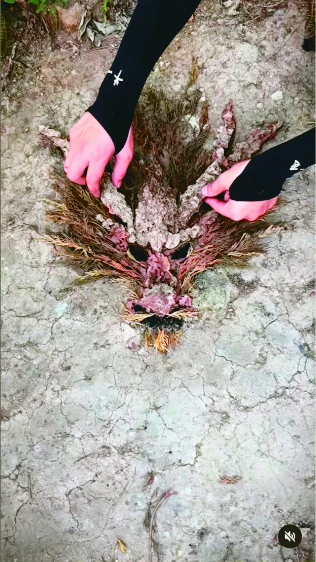 碎石落葉 拼出黑神話悟空
