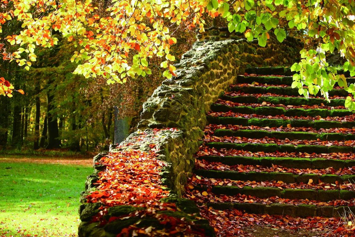 《人間佛教佛陀本懷》的佛法與創意（節錄）