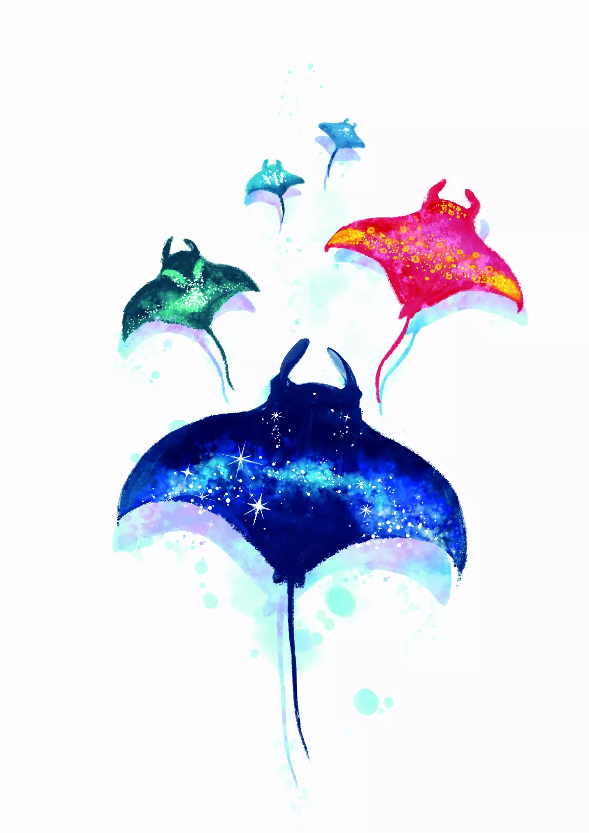 【趣味動物園】 海洋中的神祕巨人 鬼蝠魟