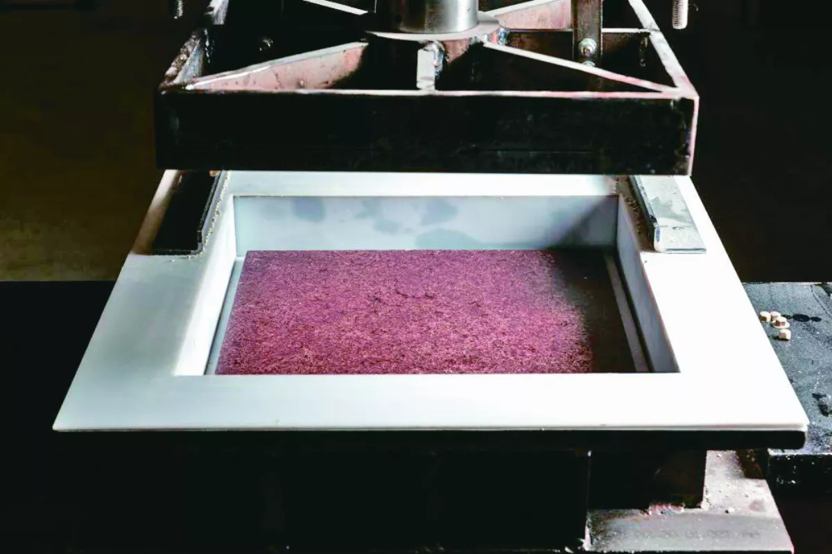 魚鱗磁磚 減少建築、漁業廢棄物