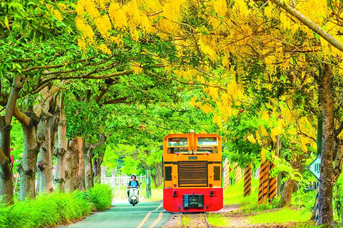 搭乘橋頭五分車 遙想運甘蔗歷史