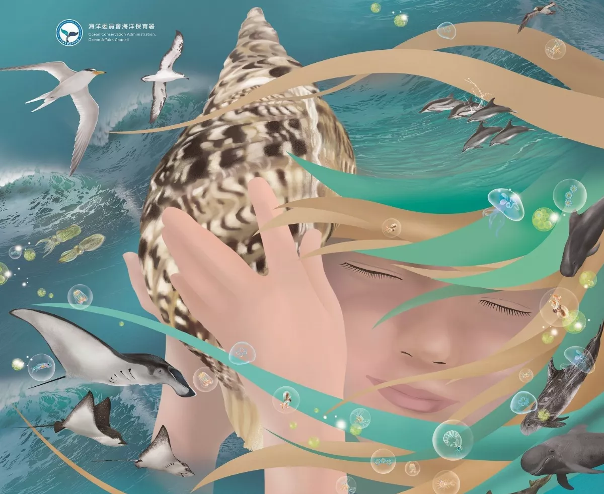 探索海洋藍碳生態系 海保署推「傾聽海說」