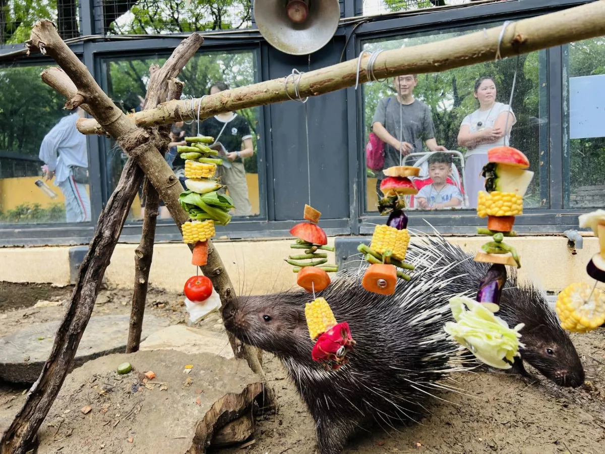 月圓團圓 壽山動物也有野營派對