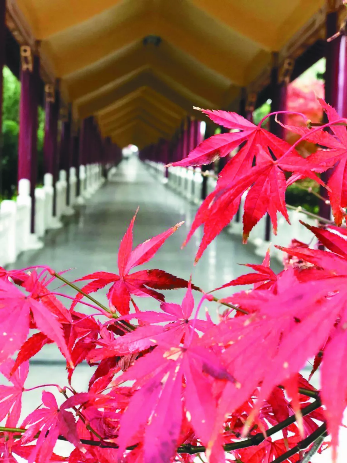 【講演集─佛教與生活】人生十問 4-1