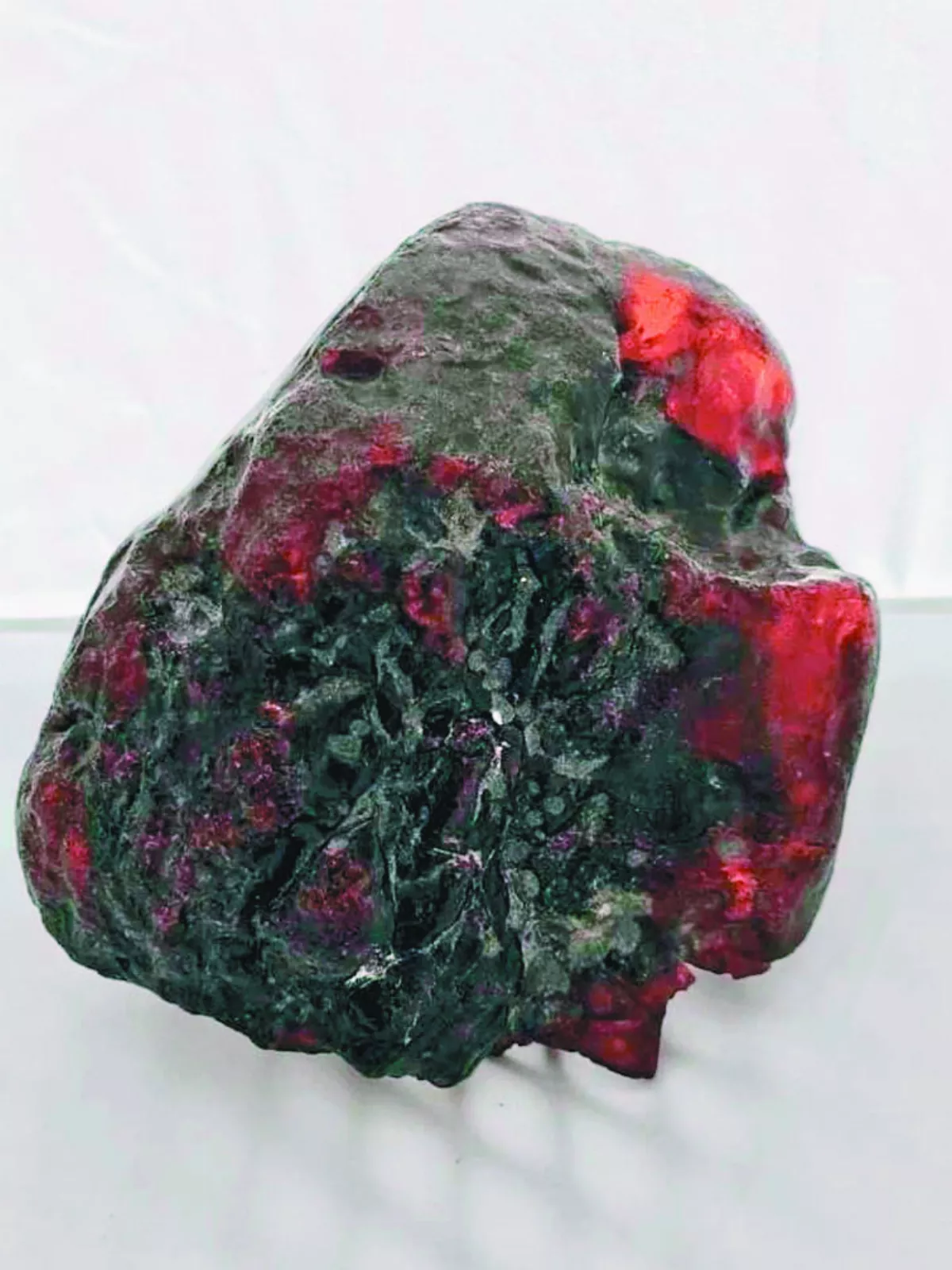 搬石頭當門擋 竟是3800萬年前琥珀