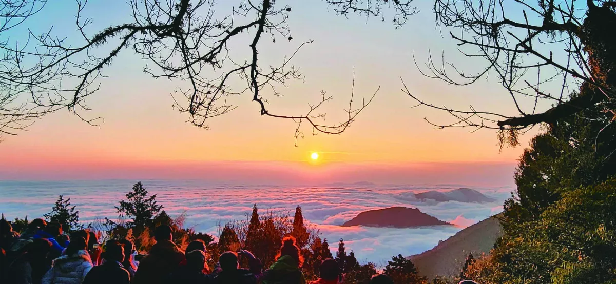 阿里山秋景如畫