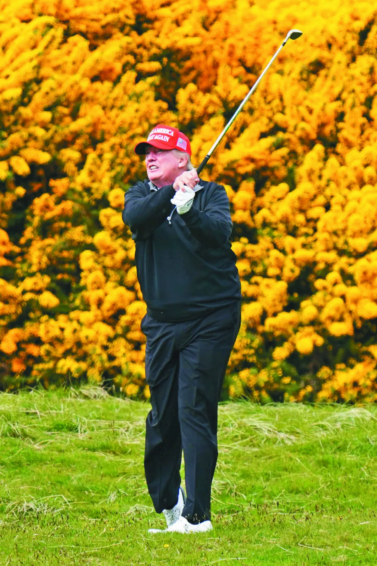 川普9周內再遭暗殺未遂 賀錦麗譴責暴力