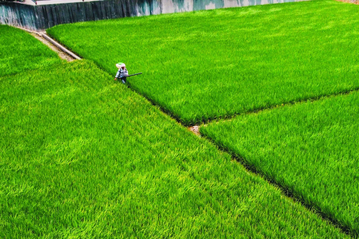 國土法  20綠委：溝通後再上路