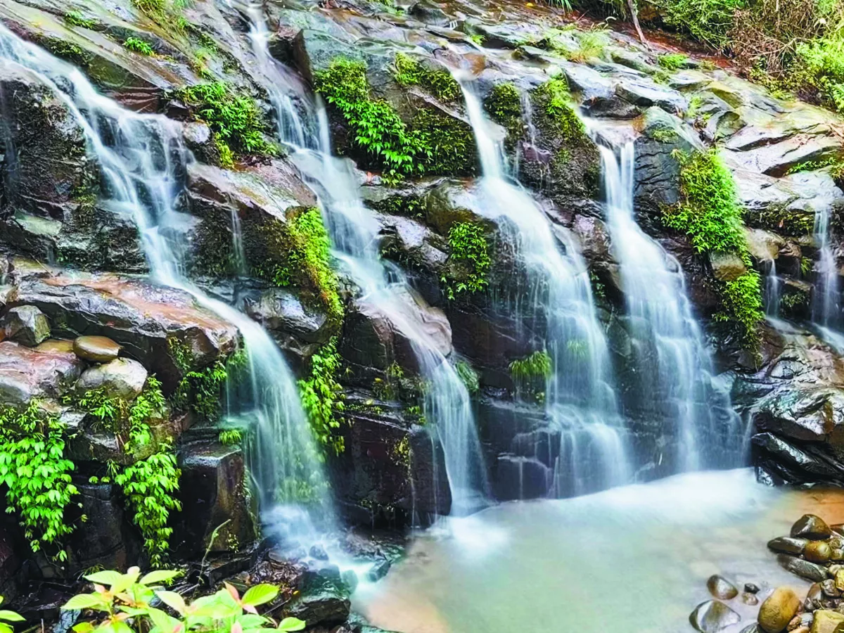 梅山小旅行 賞太興飛瀑