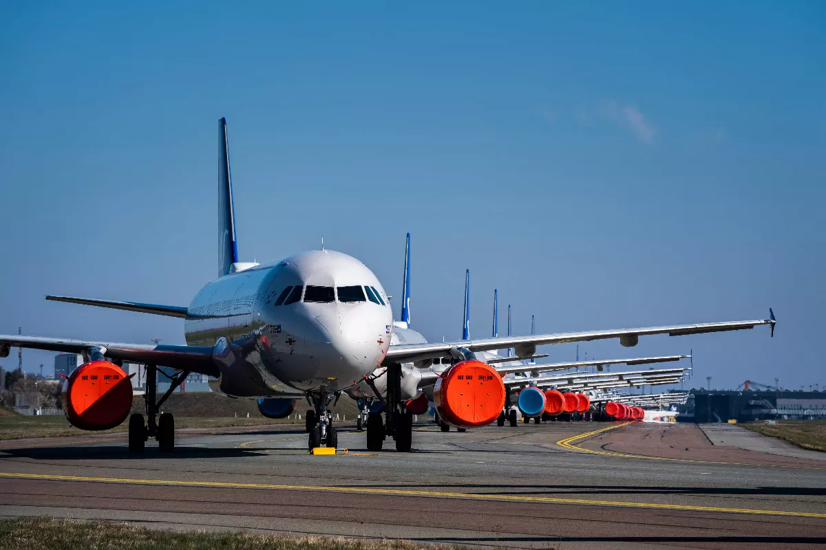 航班突現不速之客！北歐航空班機緊急改降