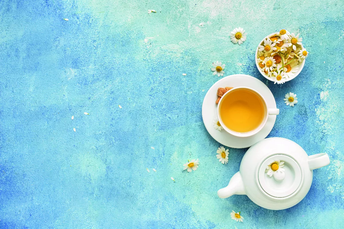 【熱至秋分】中藥食材 消暑滋養