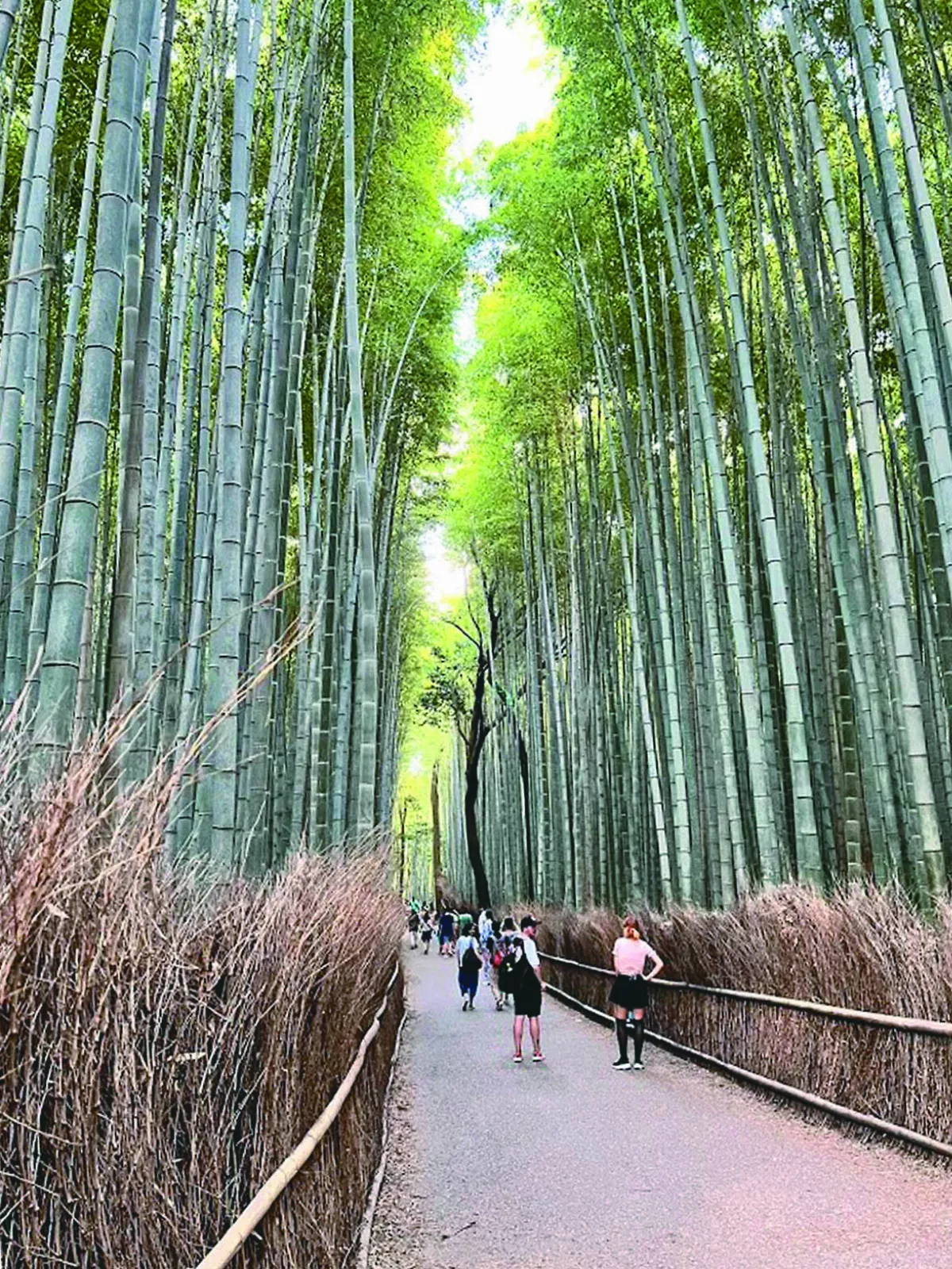 【慢活京都】再訪嵐山的 變與不變