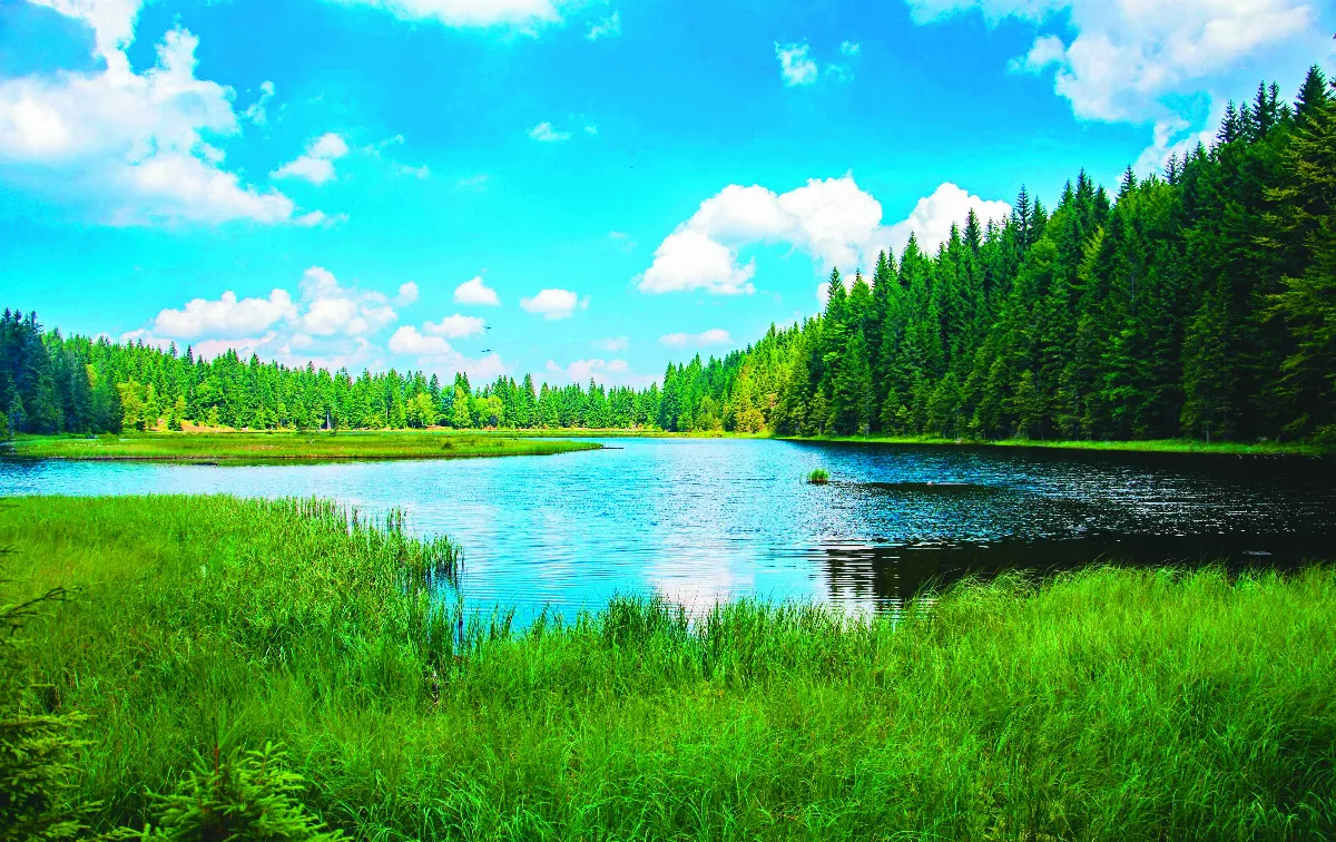 【講演集─佛教與生活】特殊的教育法 4-1