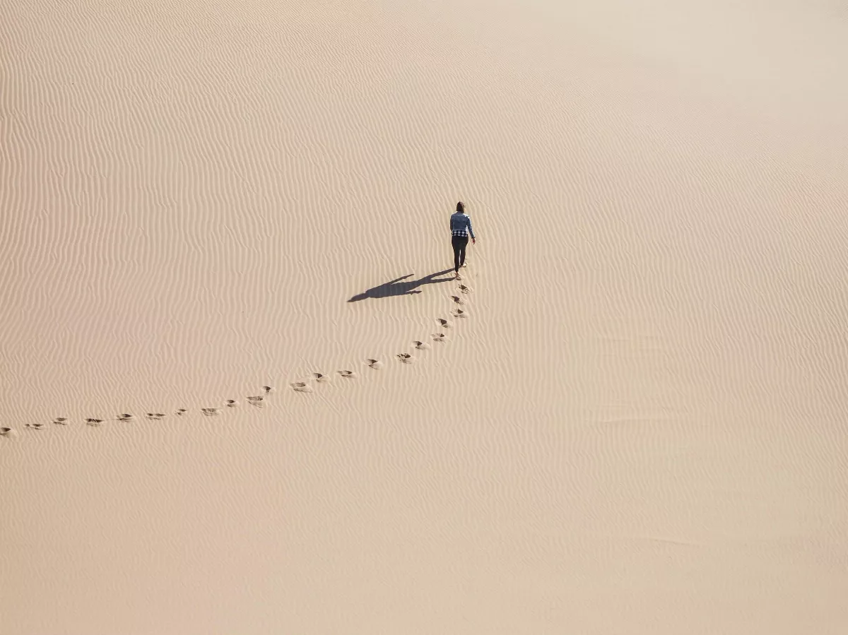 星雲說偈：因果不失