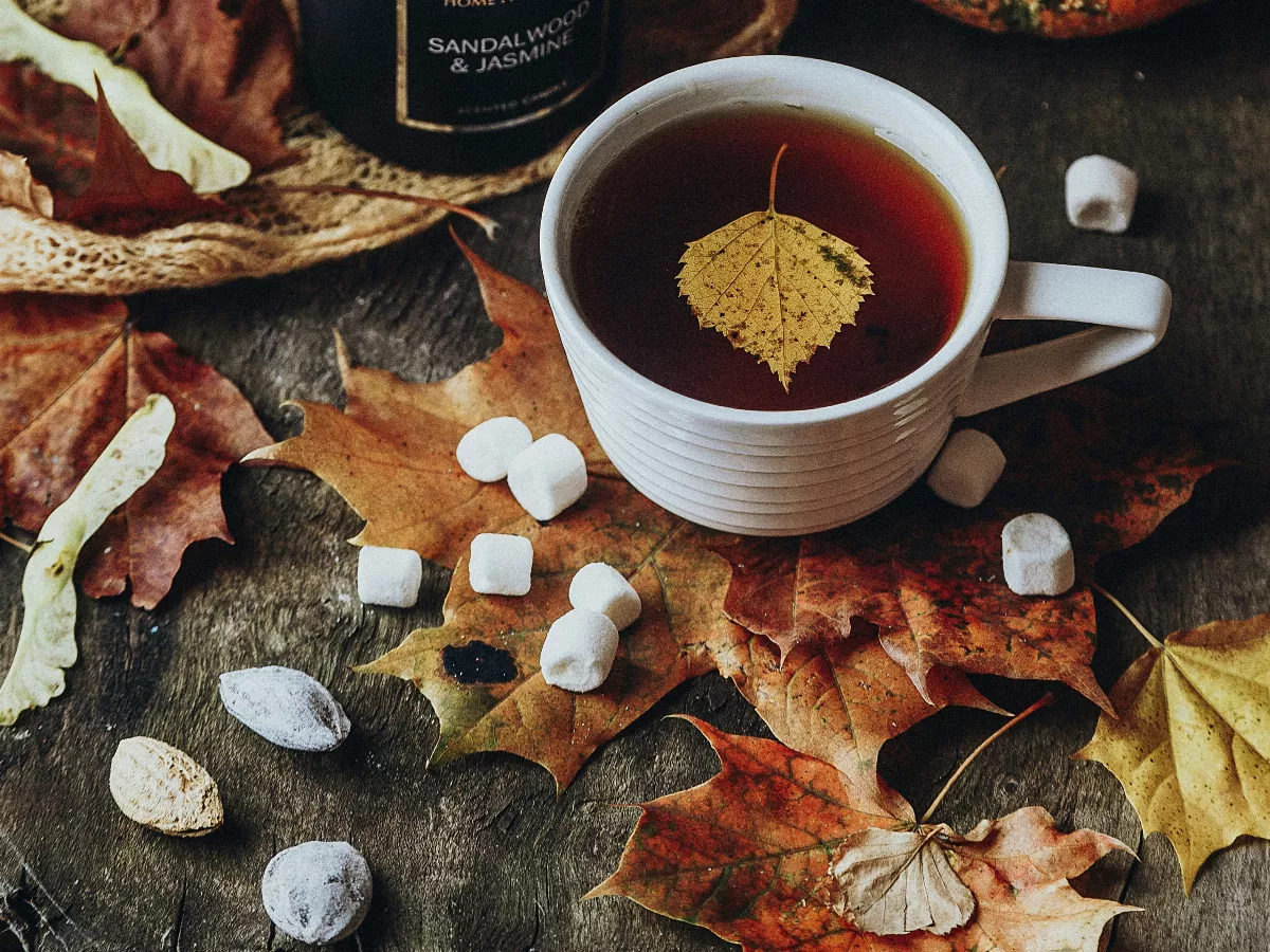 星雲說偈：一聲傳佛號