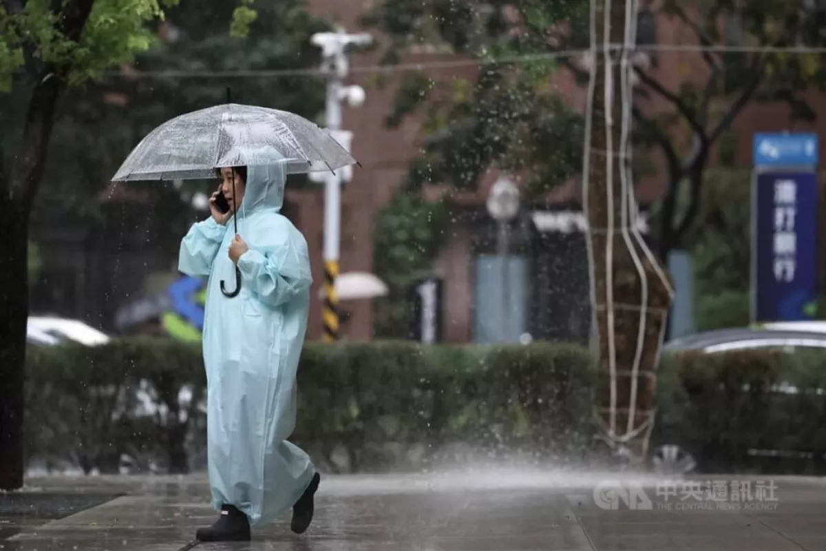 豪雨9月下旬農損2176萬元  巨峰葡萄近500萬元
