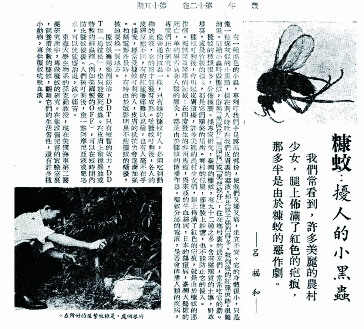 【樹博士系列 】 土壤的祕密Ⅷ 百餘年來與小黑蚊的抗爭史