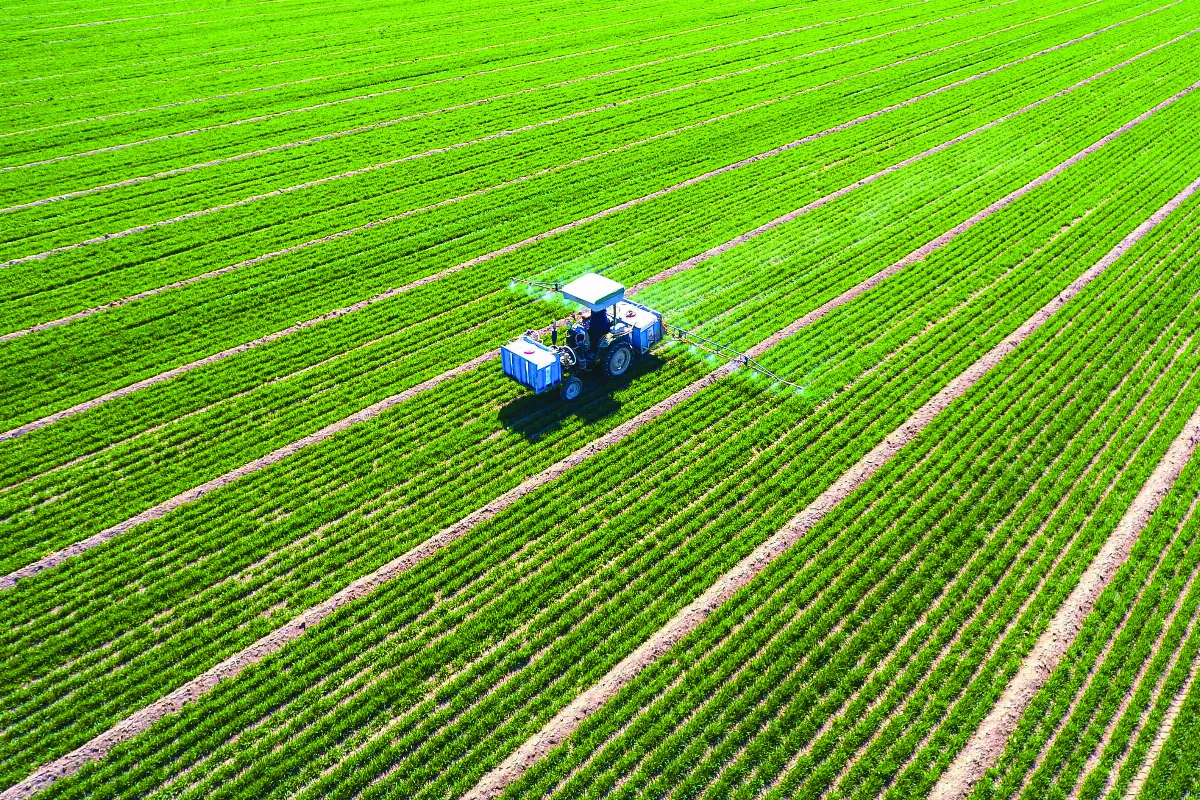 浩大工程達陣 拆4水壩讓路鮭魚