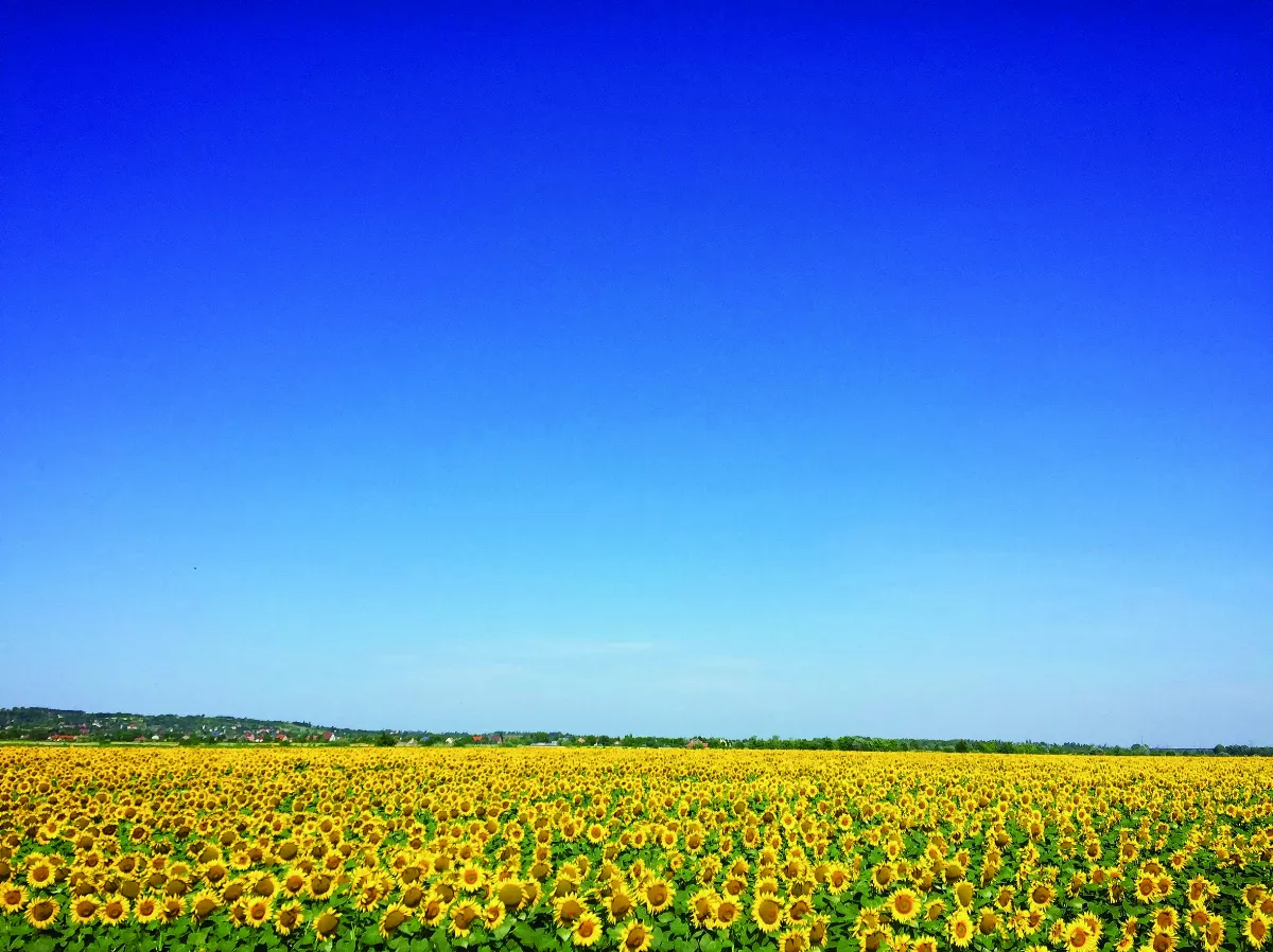 【人間佛教的戒定慧】人間佛教的定學⑰