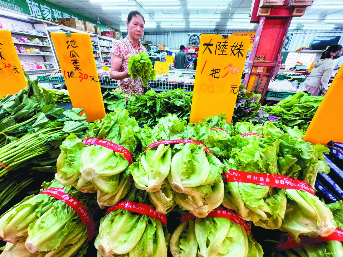 北農菜價每公斤破63元 創新高