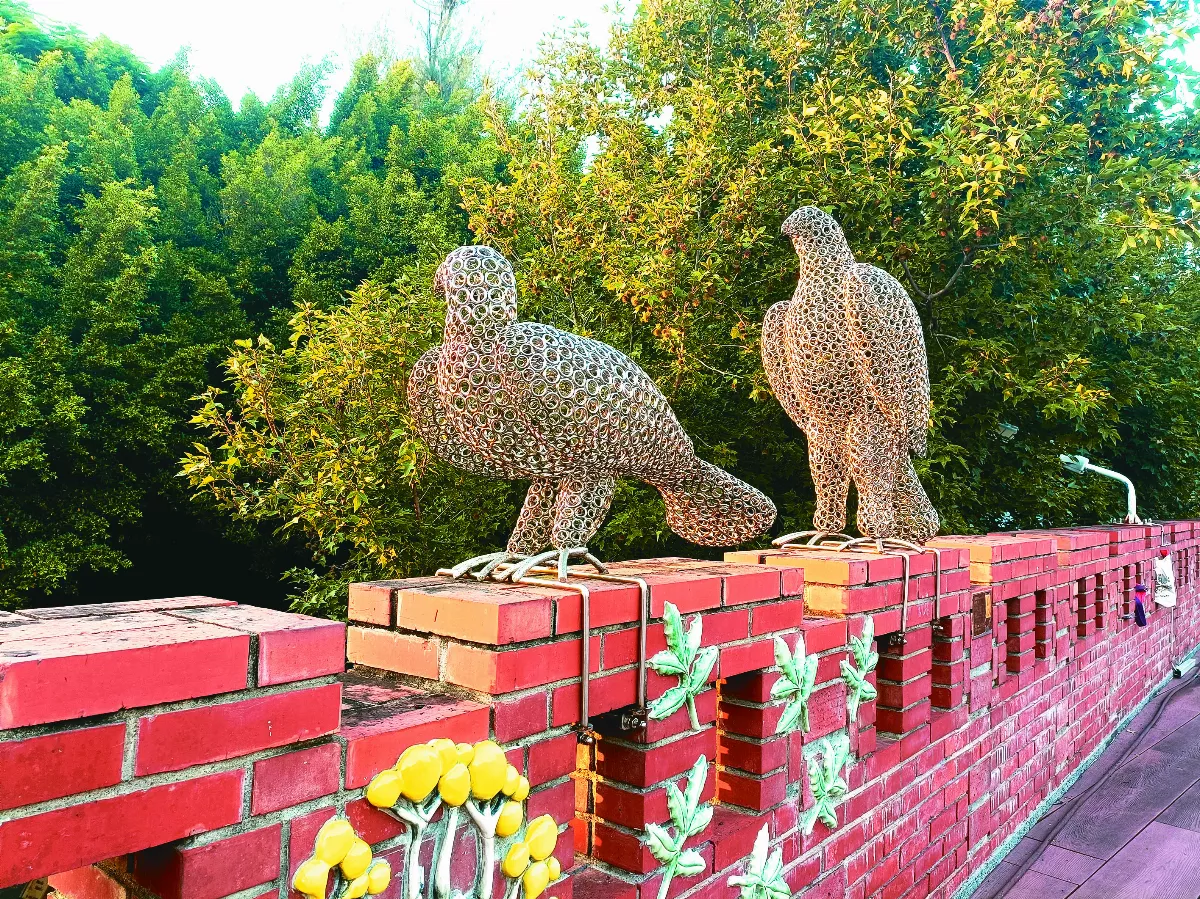 【生活快門】鷹姿煥發