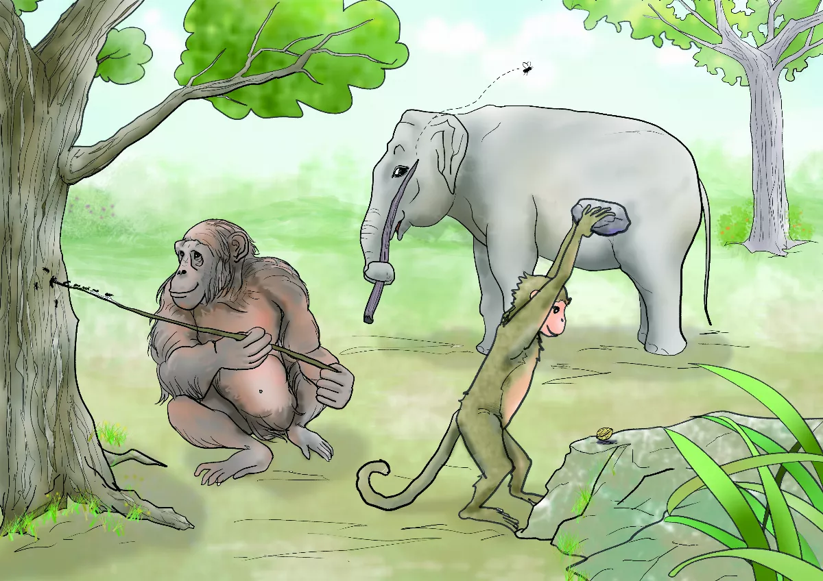 哺乳動物 天性與智力