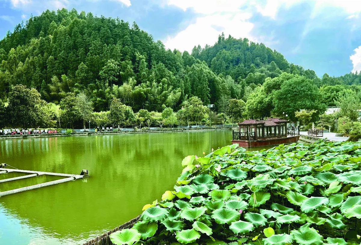 【逸饗蔬食】西遞行旅 現剝蓮子鮮食