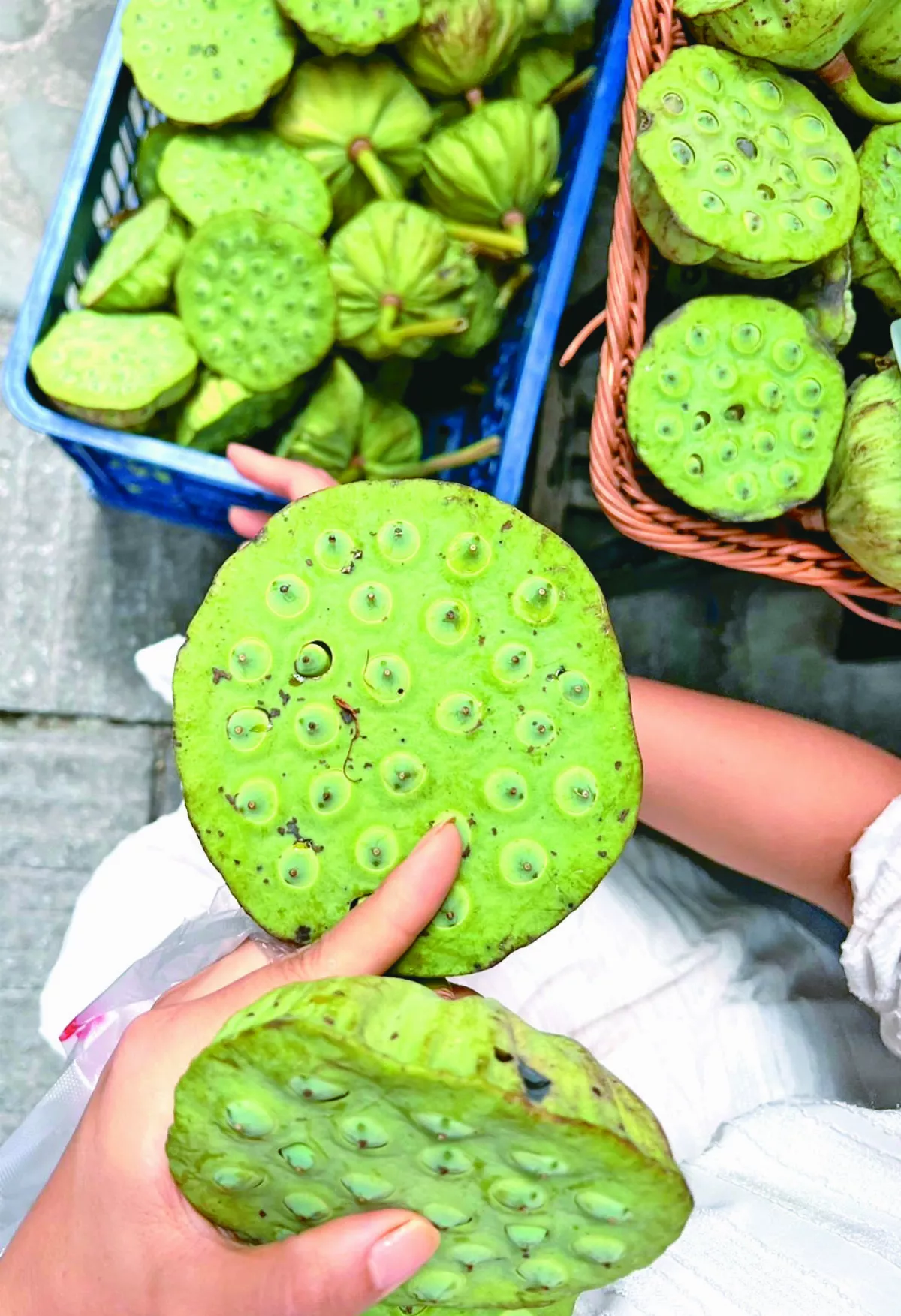 【逸饗蔬食】西遞行旅 現剝蓮子鮮食