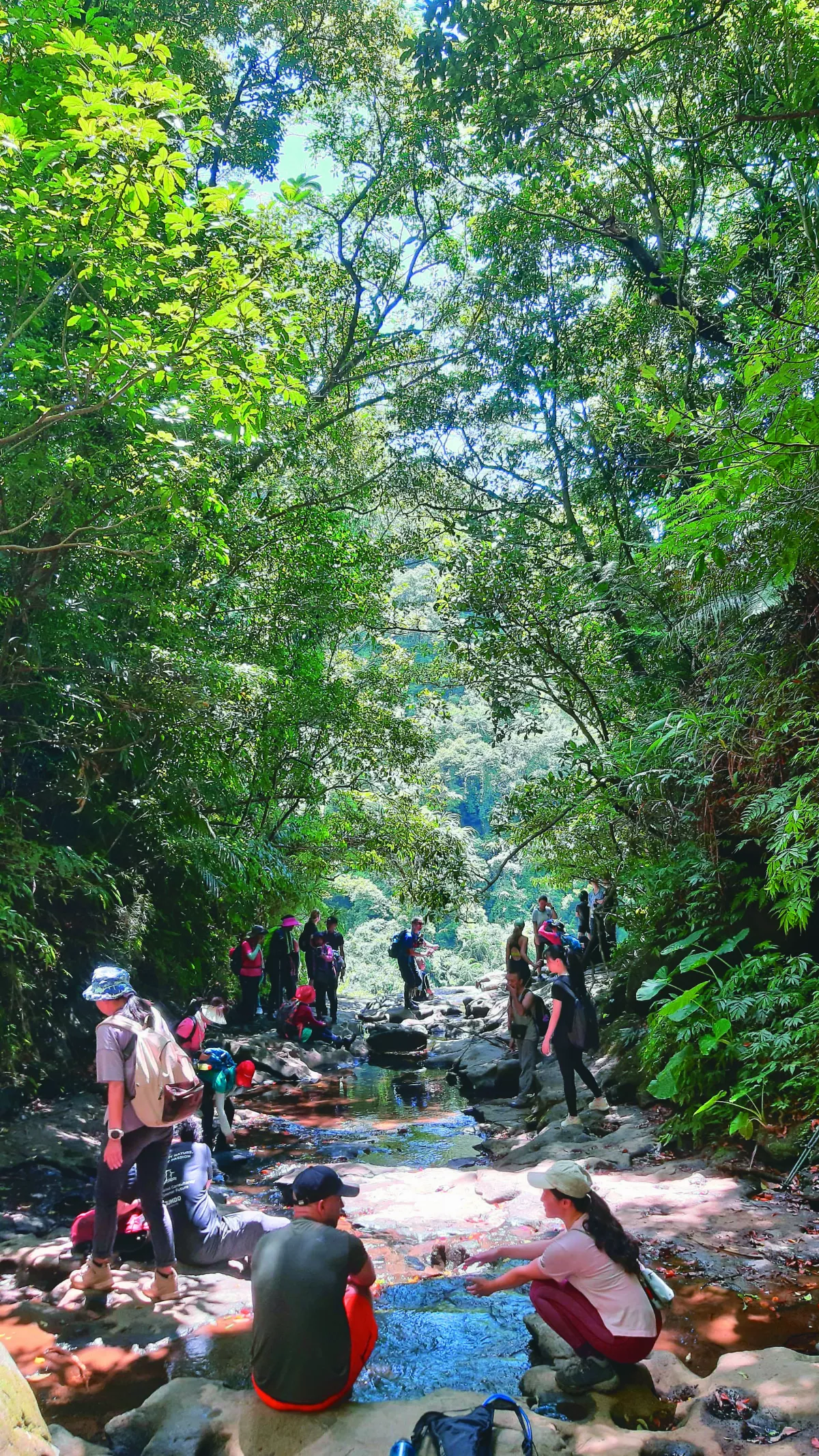 【印象旅人】一見鍾情三貂嶺 