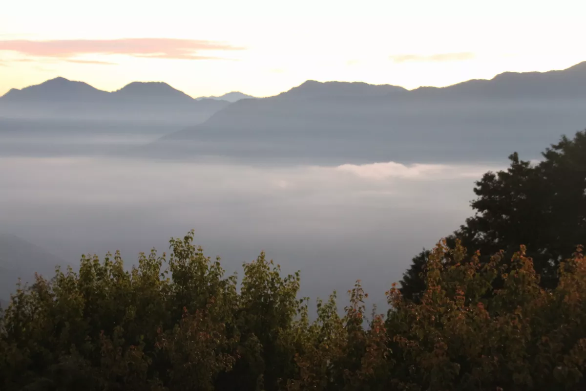 雲端上的國度（一）小笠原山 與帝雉的邂逅