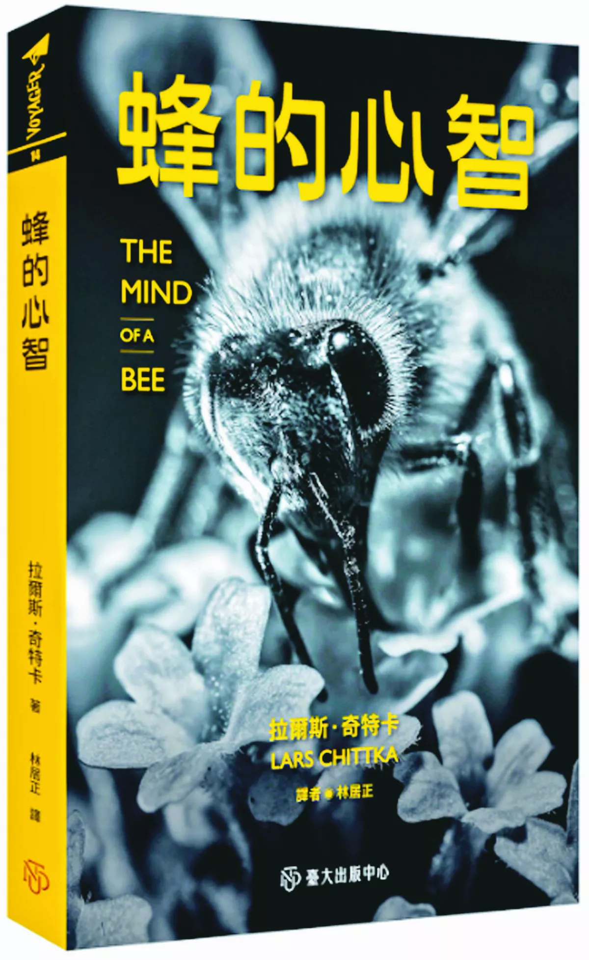 【深頁凝視】《蜂的心智》 蜂智研究的保育意義 