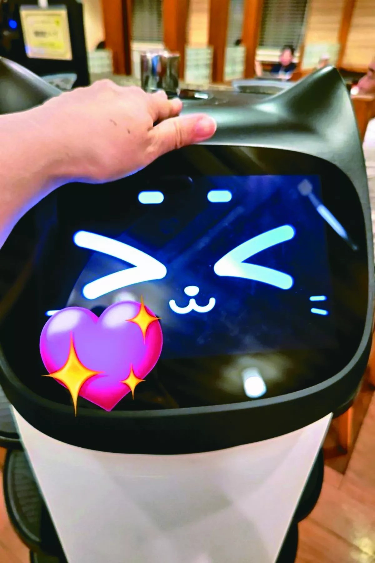 貓咪送餐機器人 摸它耳會說癢