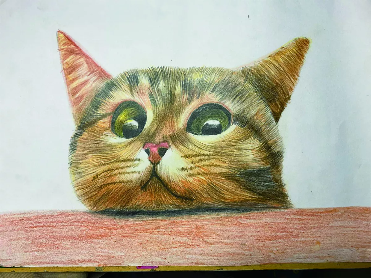 【青春藝林】 貓咪凝望 