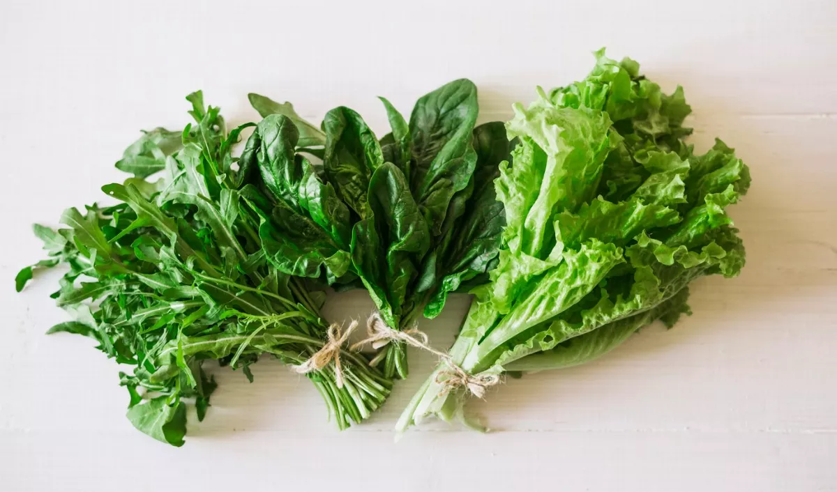 多吃它們可補腦 傷腦食物有這些