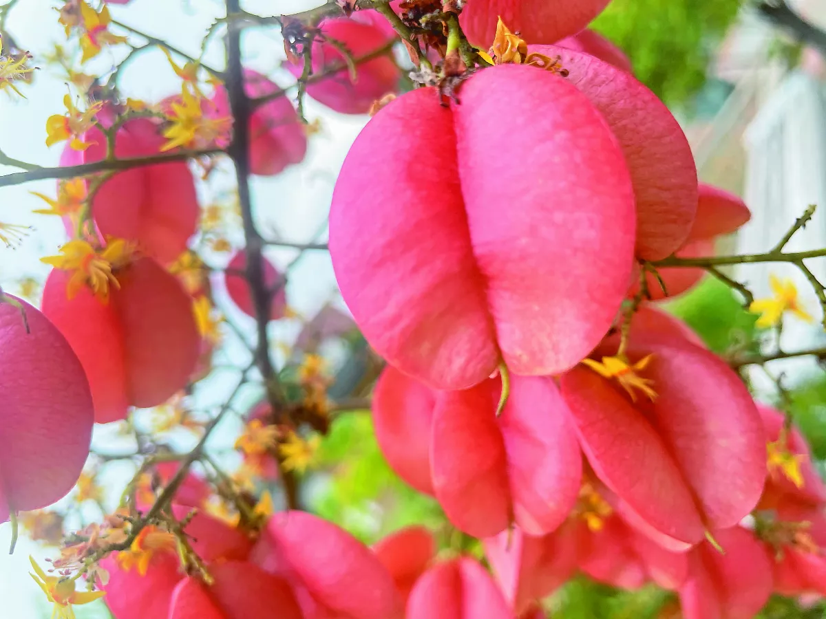 【大地的色彩】 詩意之秋