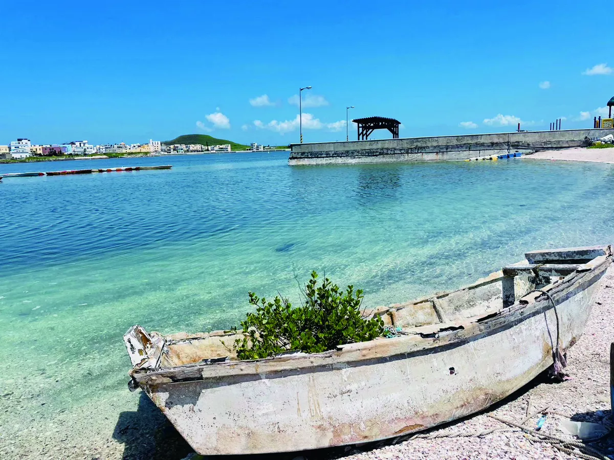 【視覺DJ 】 綠意小舟