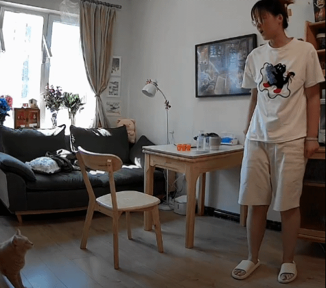 橘貓早上狂叫！飼主嫌吵下秒態度轉變