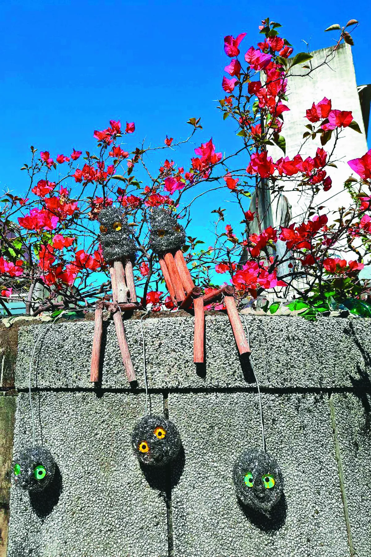 【生活快門】賞花趣