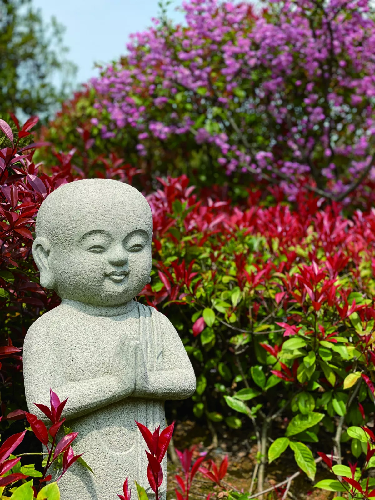 星雲大師全集【講演集】佛教與生活─生活與信仰 6-1