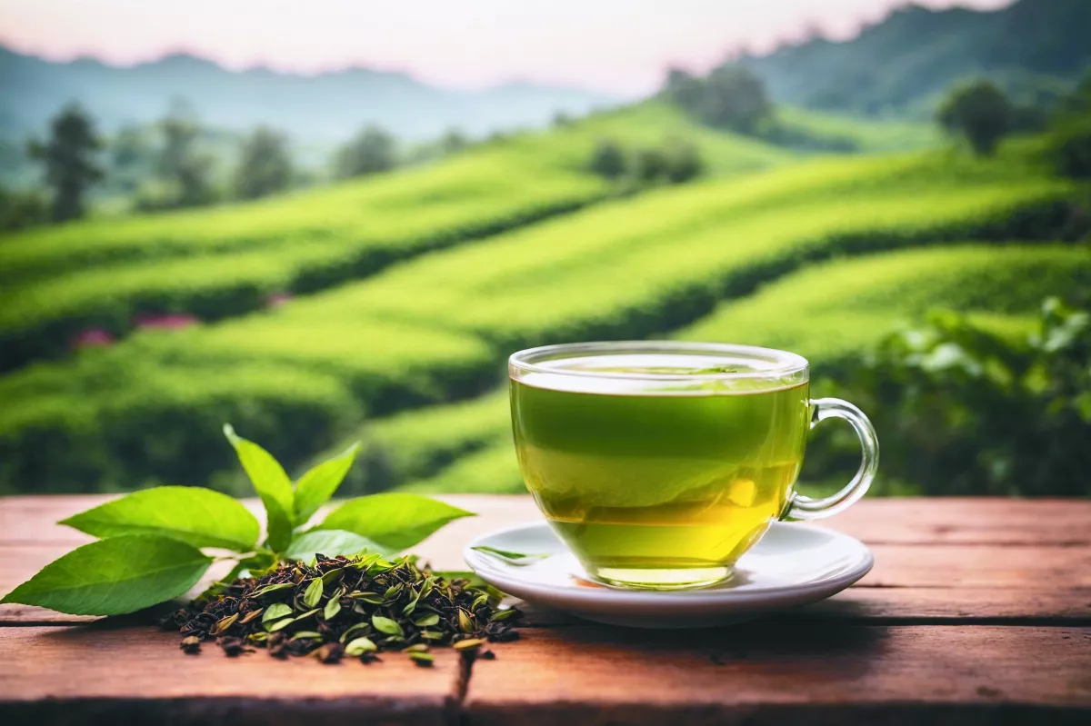 喝綠茶防癌降血壓 宜上午飲用助代謝