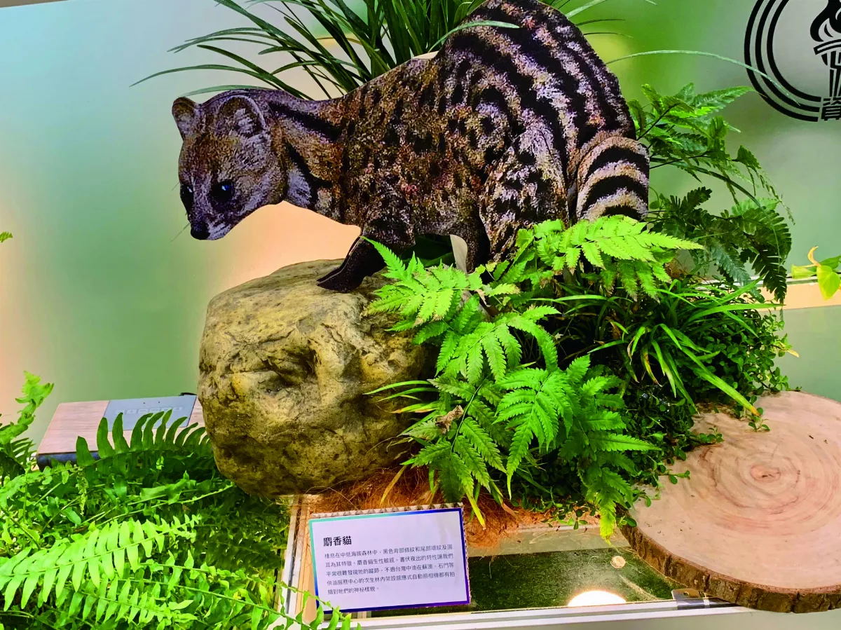 【時光重逢】不知迷路為花開