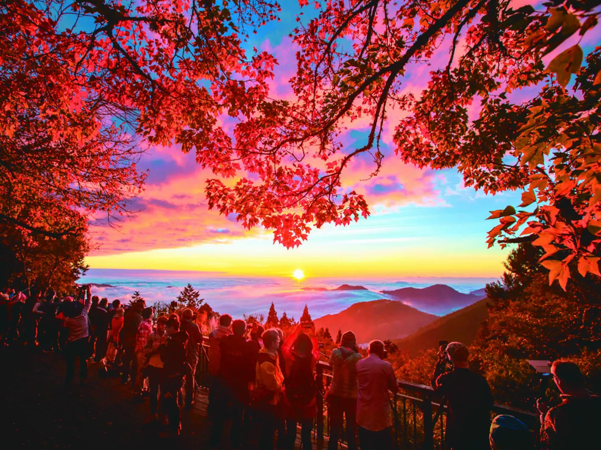 杉林溪楓紅 引爆紅色浪漫