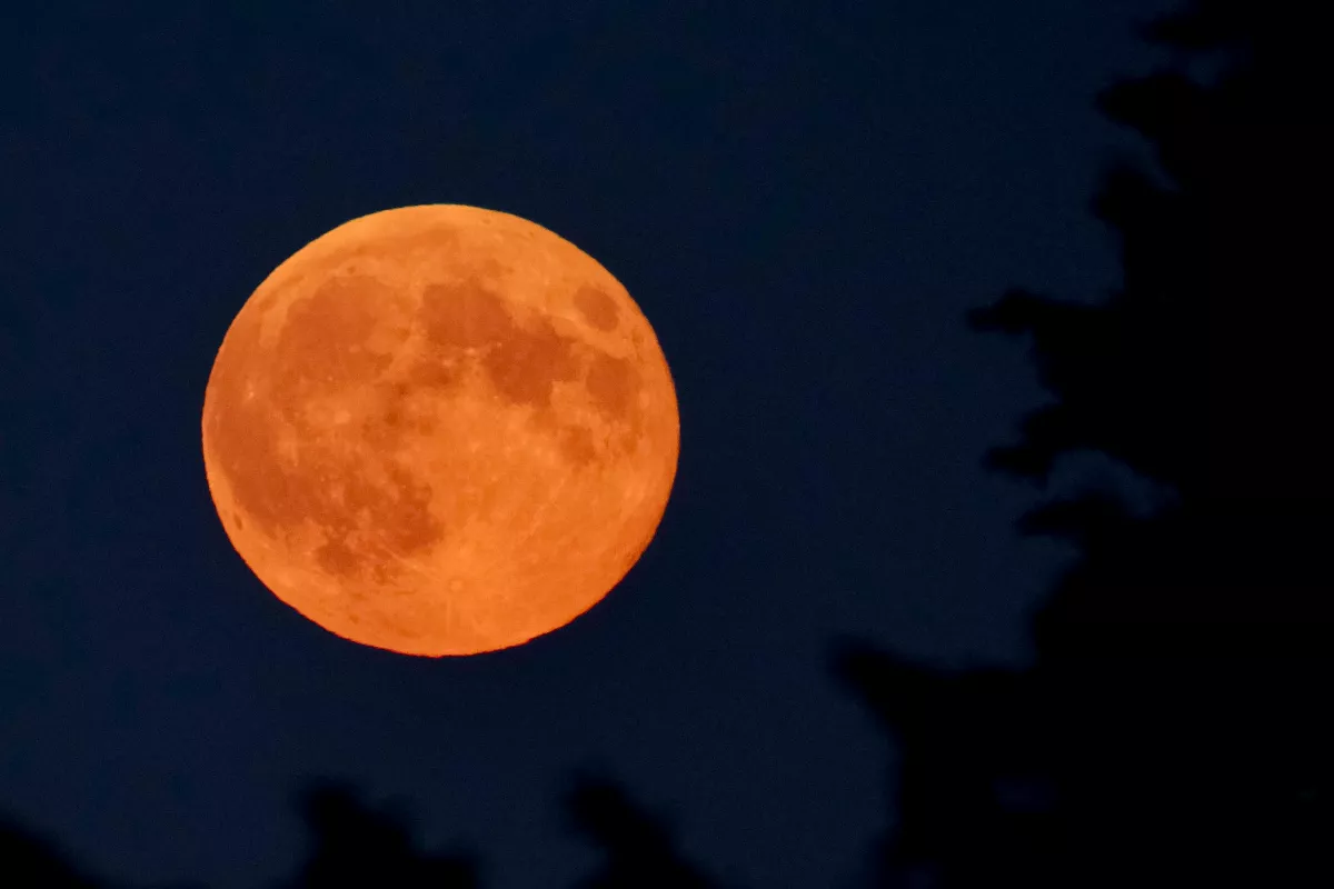 【小小詩人】歡樂中秋節 