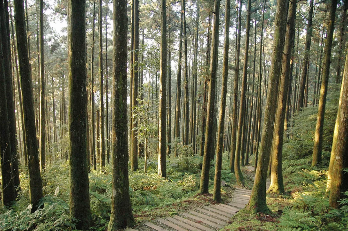【詩】過東眼山